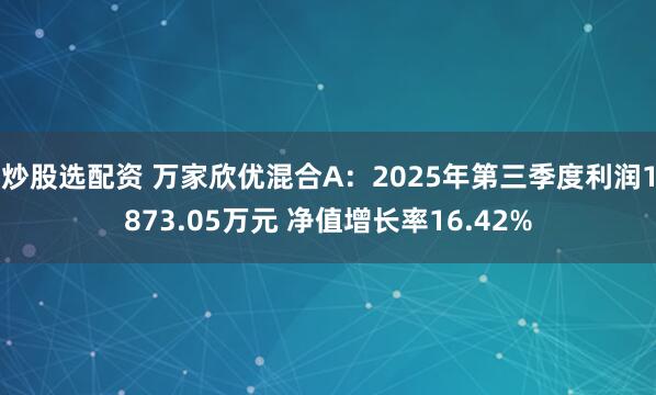 炒股选配资 万家欣优混合A：2025年第三季度利润1873.05万元 净值增长率16.42%