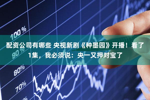 配资公司有哪些 央视新剧《种墨园》开播！看了1集，我必须说：央一又押对宝了